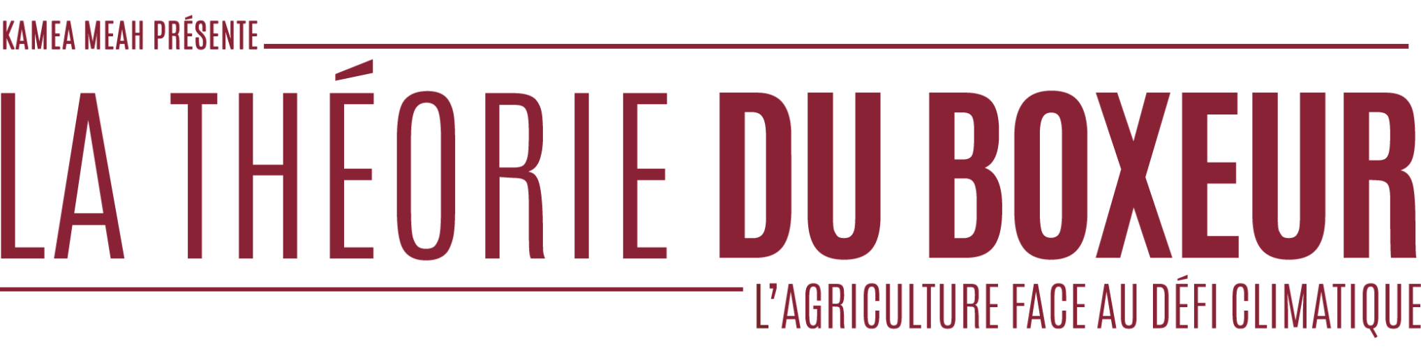 La Théorie du Boxeur- Logo