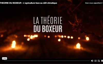 LE FILM ENFIN DISPONIBLE EN LIGNE !