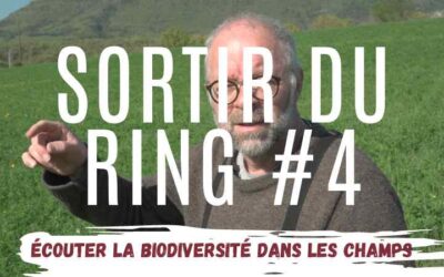 Écouter la biodiversité dans les champs