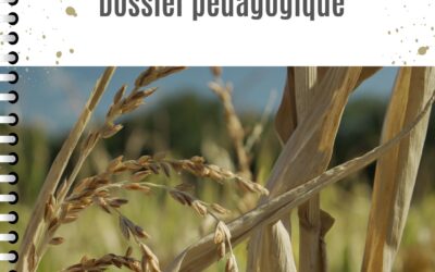 Le guide pédagogique est sorti !
