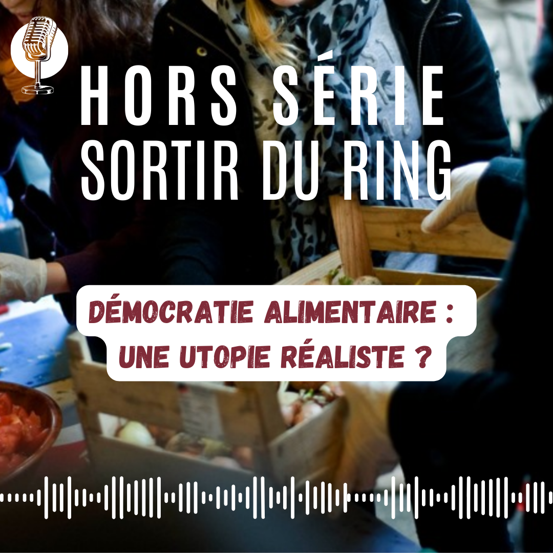 Podcast democratie alim