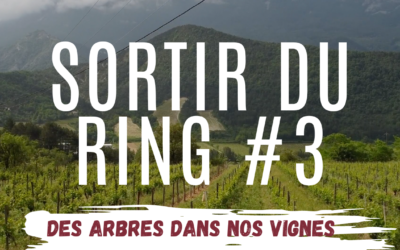SORTIR DU RING #3 : Des arbres dans nos vignes