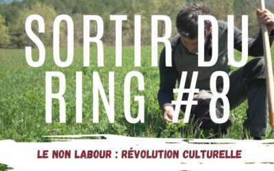Le non labour : révolution culturelle ?