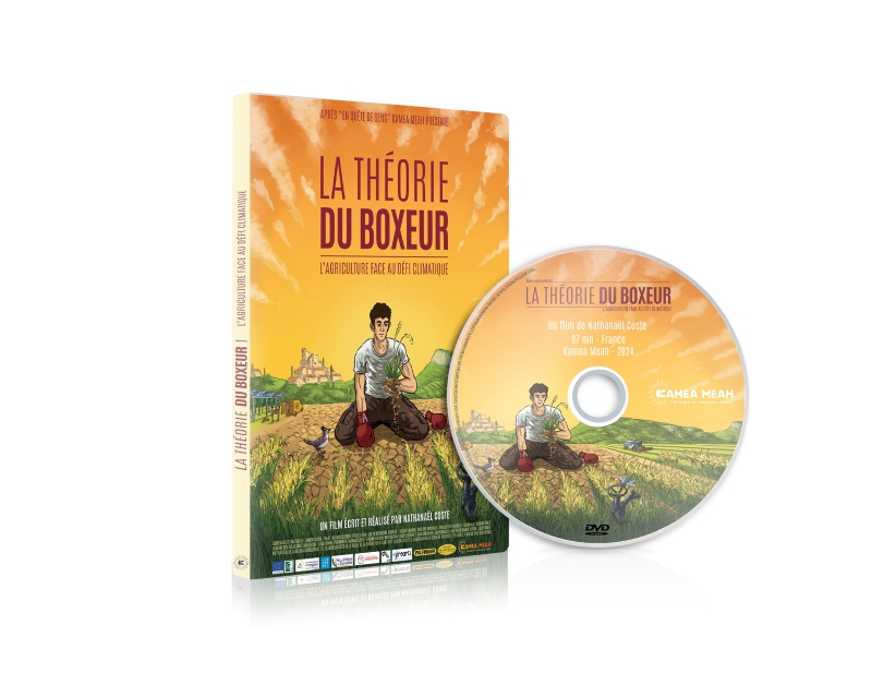Coffret Clef USB La Théorie du boxeur